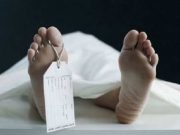 Pekerja Pabrik Tewas Tersengat Setrum di Grobogan