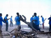 Hari Kelautan Nasional, Digelar Aksi Membersihkan Pantai Indonesia di 55 Lokasi