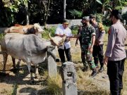 Tentara dan Polisi Wonogiri Ikut Cek Kesehatan Ternak ke Pasar Hewan