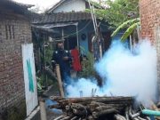 Warga Kota Pekalongan Diingatkan Waspadai DBD