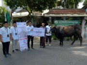 Idul Adha 1443 H Semen Gresik Serahkan Hewan Kurban Bernilai Total Rp 280 Juta untuk Warga Rembang dan Blora