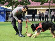 Polres Magelang Punya Anjing Pelacak Hadapi Tugas Negara