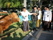 Idul Kurban Masjid Agung Baitunnur Blora, 4 Ekor Sapi dan 10 Kambing Disembelih di RPH