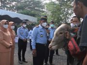 Momen Idul Adha, Kanwil Jateng Melaksanakan Penyembelihan Hewan Kurban