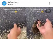 Viral Video Jalan Baru Diaspal di Kudus Seperti Remah Kue, Ini Penjelasan Dinas PUPR