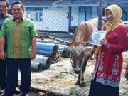 PDAM Magelang Serahkan Hewan Kurban kepada Warga Sekitar Mata Air