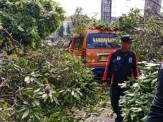 Tidak Ada Korban Jiwa Dalam Laka Tunggal di Tanjakan Tanah Putih Kota Semarang