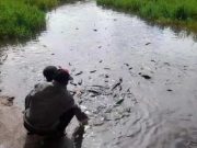Keunikan Ikan Jinak di Obyek Wisata Telaga Renjeng Brebes
