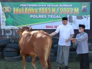 Polres Tegal Kurban 4 Sapi dan 27 Kambing, serta Bagikan Sembako
