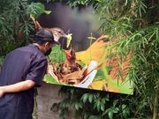 222 Fotografer dari 4 Benua, Pameran Fotografi di Museum H Widayat Magelang pameran fotografi