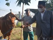 Idul Adha 2022 Istimewa bagi Muslim Indonesia