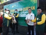 RSI Sultan Agung Semarang Kurban 20 Sapi dan 26 Kambing Bebas PMK