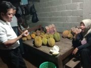 Durian Lokal Wonosobo Punya Banyak Varian, Apa Saja?