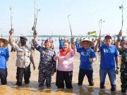 Hari Mangrove Sedunia, Pertamina, Angkasa Pura I, dan BEM UNDIP Kolaborasi Tanam 12.000 Bibit