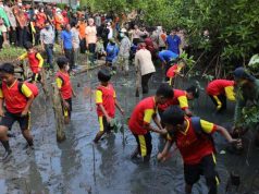 Tanam Mangrove Bareng Pelajar, Ganjar Canangkan Ekowisata Mangrove Muara Kali Ijo