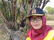 Penerapan Model Pembelajaran Kooperatif dalam Pembelajaran PKN
