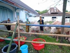 Karaton Surakarta Hadiningrat Kembali Gelar Kirab Malam 1 Sura Pukul 00.00 Malam Nanti