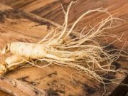 Dibalik Rasa yang Pahit, Empat Khasiat Gingseng Korea Bagi Kesehatan Tubuh