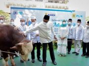 Hari Raya Idul Adha, Dirut PLN Pantau Langsung Keandalan Sistem Kelistrikan