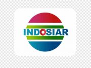 JADWAL TV Indosiar Hari ini Sabtu 19 November 2022, Mega Film Asia: Thunderbolt
