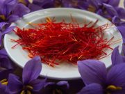 Empat Manfaat Mengonsumsi Seduhan Saffron, Salah Satunya Dapat Mencegah Kanker