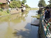 Komunitas Peduli Sungai Welahan Akan Ikuti Lomba Sungai, Pj Bupati: Semoga Menjadi Contoh