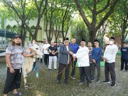 Unissula Potong 18 Hewan Qurban