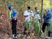 Warga Jatisrono Wonogiri Digegerkan Kasus Gantung Diri di Pohon Jambu
