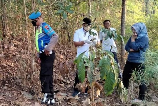 Warga Jatisrono Wonogiri Digegerkan Kasus Gantung Diri di Pohon Jambu