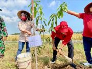 Dewi Aryani: Kawasan Buah dan Gizi Desa Program Konkret Tanggulangi Stunting