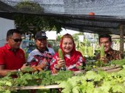 Dihadiri Wakil Walikota, Lapas Semarang Gelar Panen Raya Hasil Kebun Narapidana