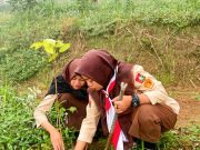 Saka Adhyasta Hijaukan Hutan Gunung Sumbing dan Terapkan Pohon Asuh
