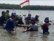 Antisipasi Dampak Perubahan Iklim di Pesisir Brebes, Pelajar dari Jakarta Tanam 3.000 Mangrove