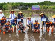 Penanaman Mangrove untuk Jaga Keseimbangan Ekologis Pesisir