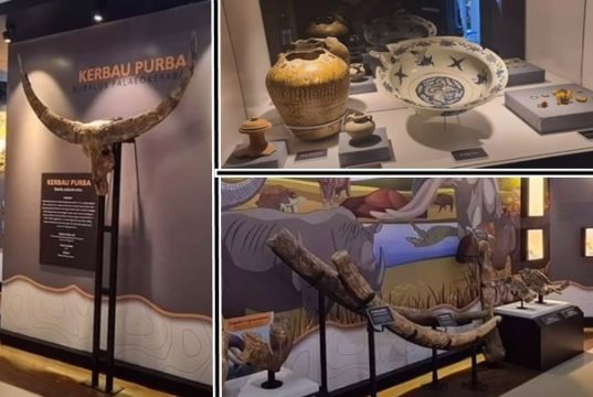 Museum Banjarejo Grobogan Diresmikan, Temuan Fosil Berkaitan dengan Situs Lain di Jateng