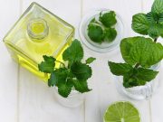 Empat Manfaat Daun Mint yang jarang Diketahui Orang