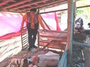 Berkunjung ke Sugihmanik, Wagub Taj Yasin Senang Kambing Bantuan Tak Langsung Dijual