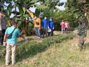 Sesosok Mayat Ditemukan di Persawahan Desa Pranten Gubug