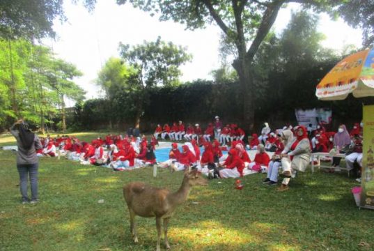 PMI Surakarta Gelar Outbound bagi Lansia
