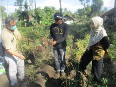 Produsen Obat Herbal Rangkul Petani Boyolali untuk Amankan Pasokan Bahan Baku