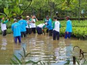 Dorong Pendidikan Mangrove di Bangku Sekolah, CSR Pertamina Jadi Lokasi Pembelajaran Adiwiyata Se-Cilacap