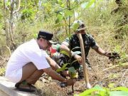 Ribuan Tanaman Buah untuk Hijaukan Objek Wisata Sentono Gentong Pacitan