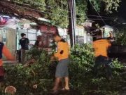 Di Selogiri Wonogiri, Pengendara Motor Luka Berat Tertimpa Dahan Pohon