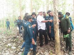 Anak-Anak SMK Kehutanan Papua Praktik Tebang Pohon Jati di Hutan Medang Blora
