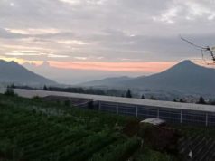 Puisi Made Dwi Adnyani Alam adalah Guru