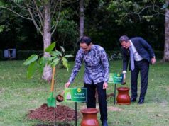 Delegasi G20 Bidang Kebudayaan Tanam Puluhan Benih Pohon Warisan Budaya