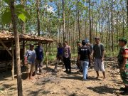 Antisipasi Pencurian Kayu di Hutan Kunduran, Petugas Gabungan Blora Gencarkan Patroli