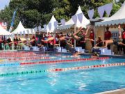Ratusan Atlet Renang Ikuti Bupati Brebes Cup 3