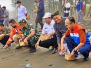 4 Kali Peringati Hari Konservasi Alam Nasional, Pertamina Lepas Liar Total 813 Ekor Penyu di Pantai Sodong Cilacap