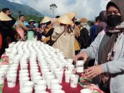 Wisatawan Dieng Culture Festival Dijamu Minuman Purwaceng